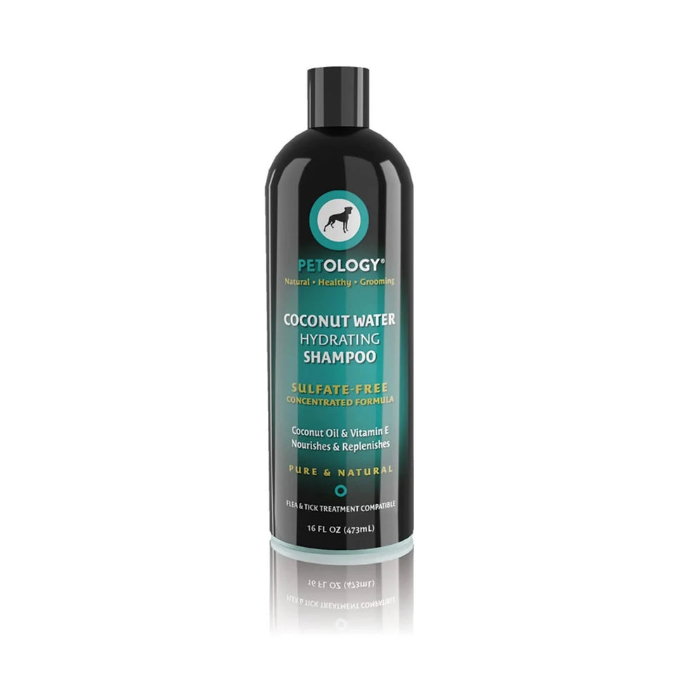 PTY Coconut H2O Hydrating Shamp, 16 oz, view 2