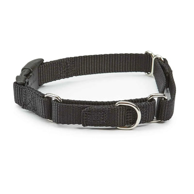 GG Martngle Cllr Quik Rlse 10-16 in Blk - Pets Perfect