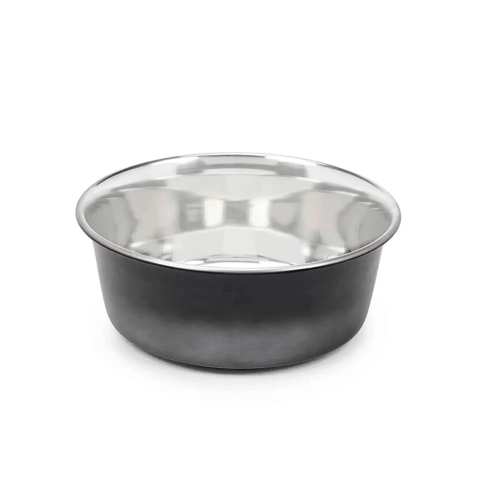 PS Stainless Steel Ombre Bowl Medium - Pets Perfect