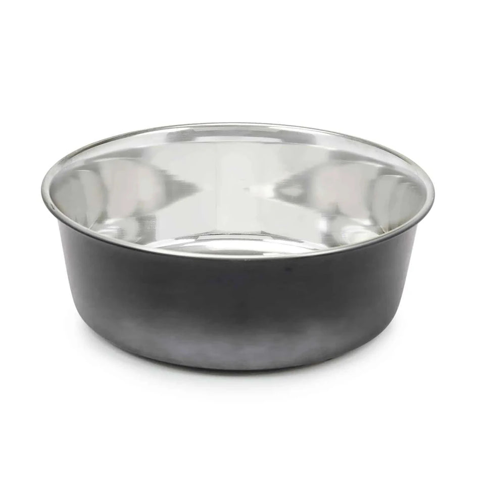 PS Stainless Steel Ombre Bowl Large - Pets Perfect