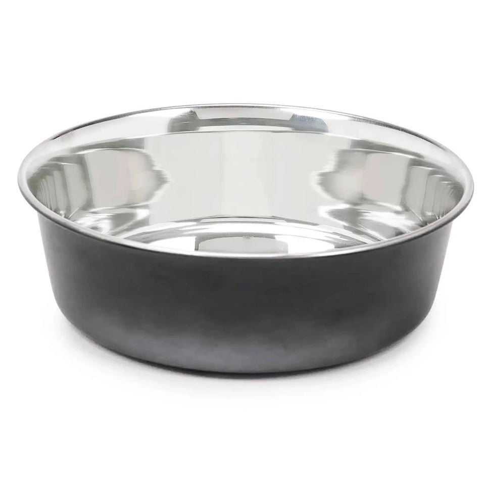 PS Stainless Steel Ombre Bowl x Large - Pets Perfect