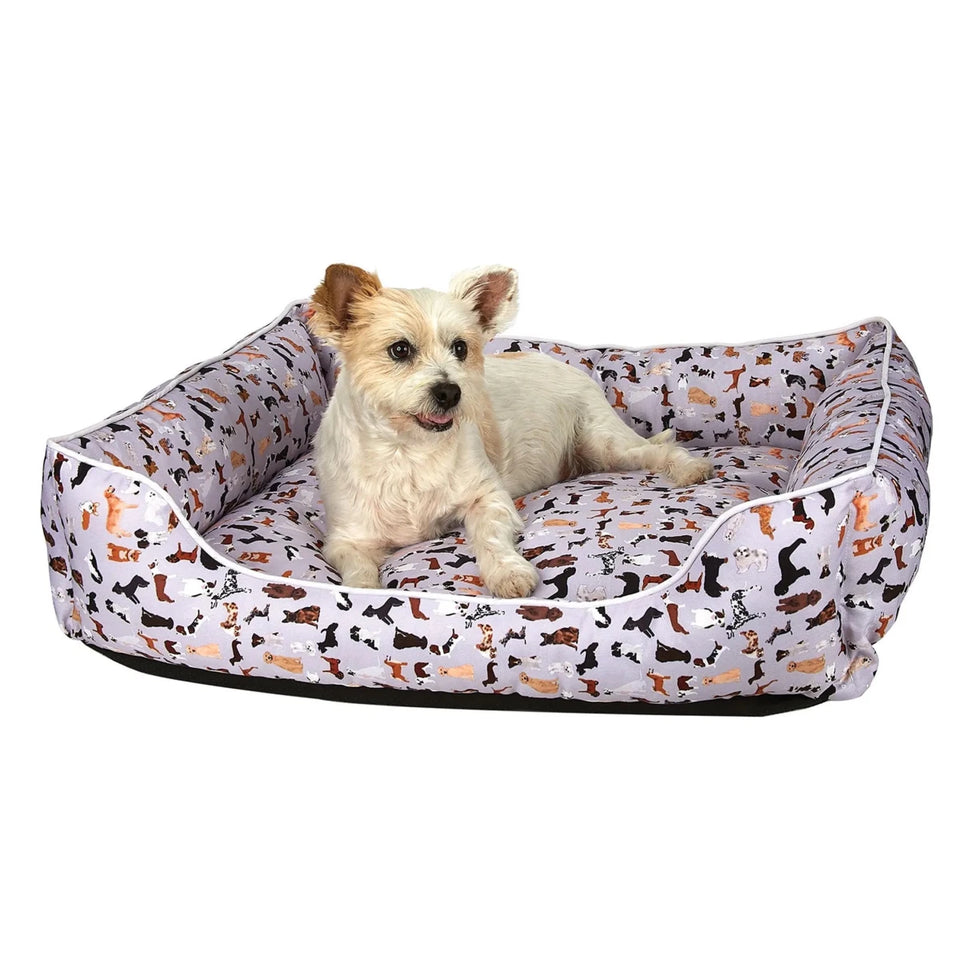 SP All Dogs Lounger Bed - Pets Perfect
