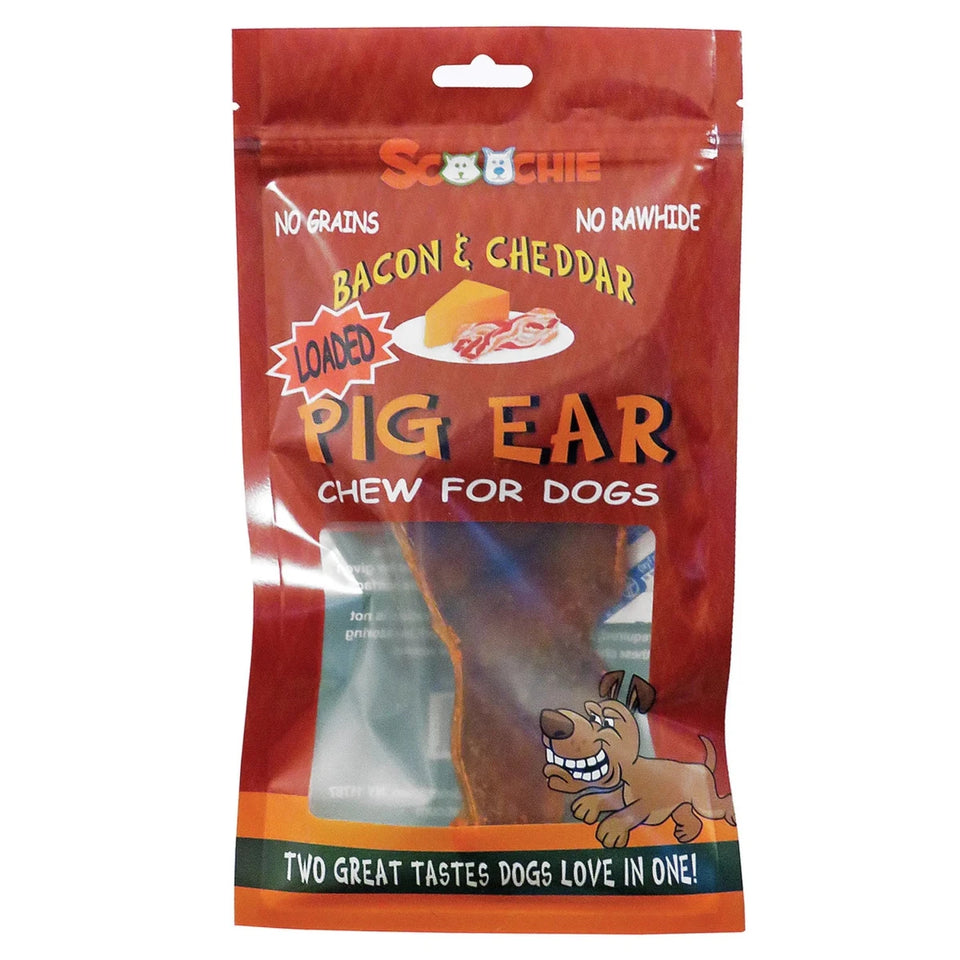 SCP Bacon Cheddar Loaded Pig Ear 1 ct - Pets Perfect