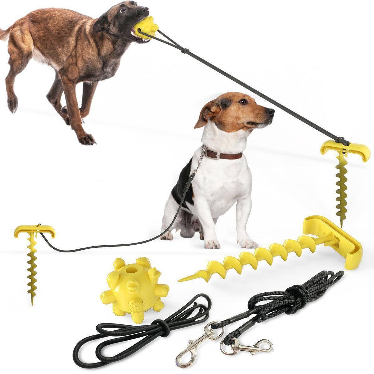 Outdoor Adventure Dog Leash Toy - Pets Perfect