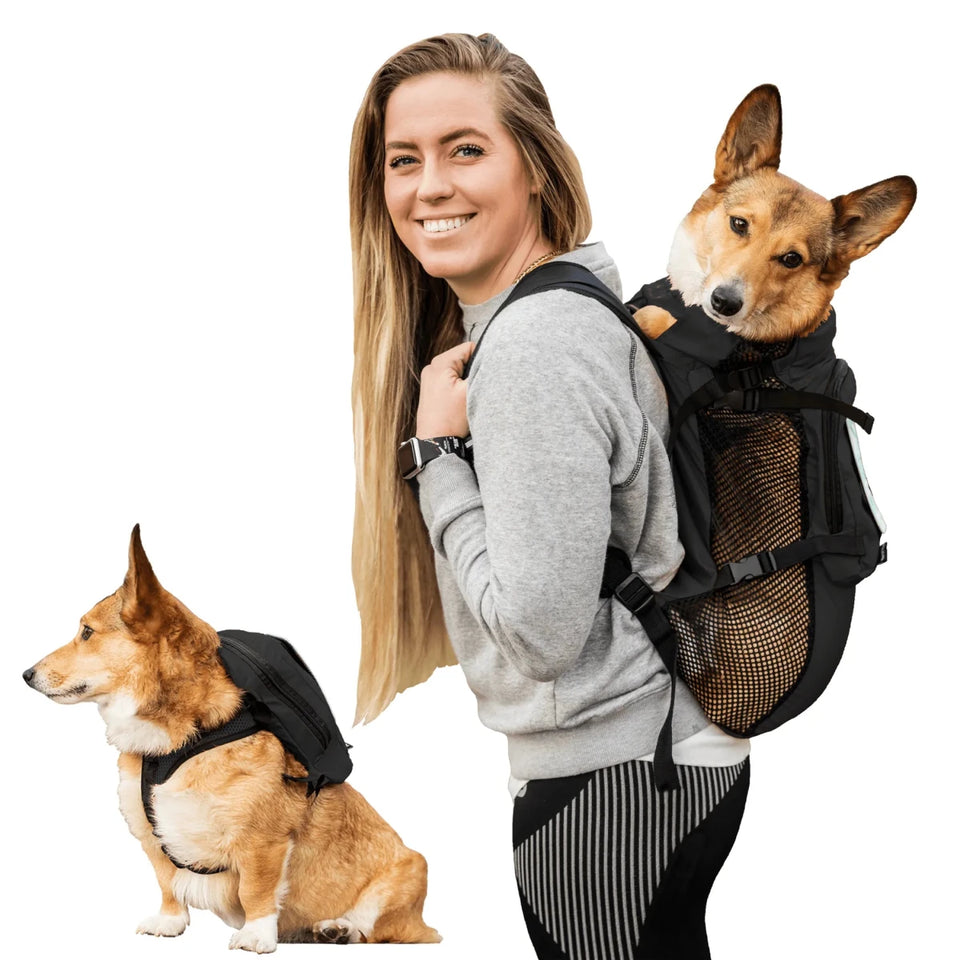 Walk-On with Dog Harness & Storage - Pets Perfect