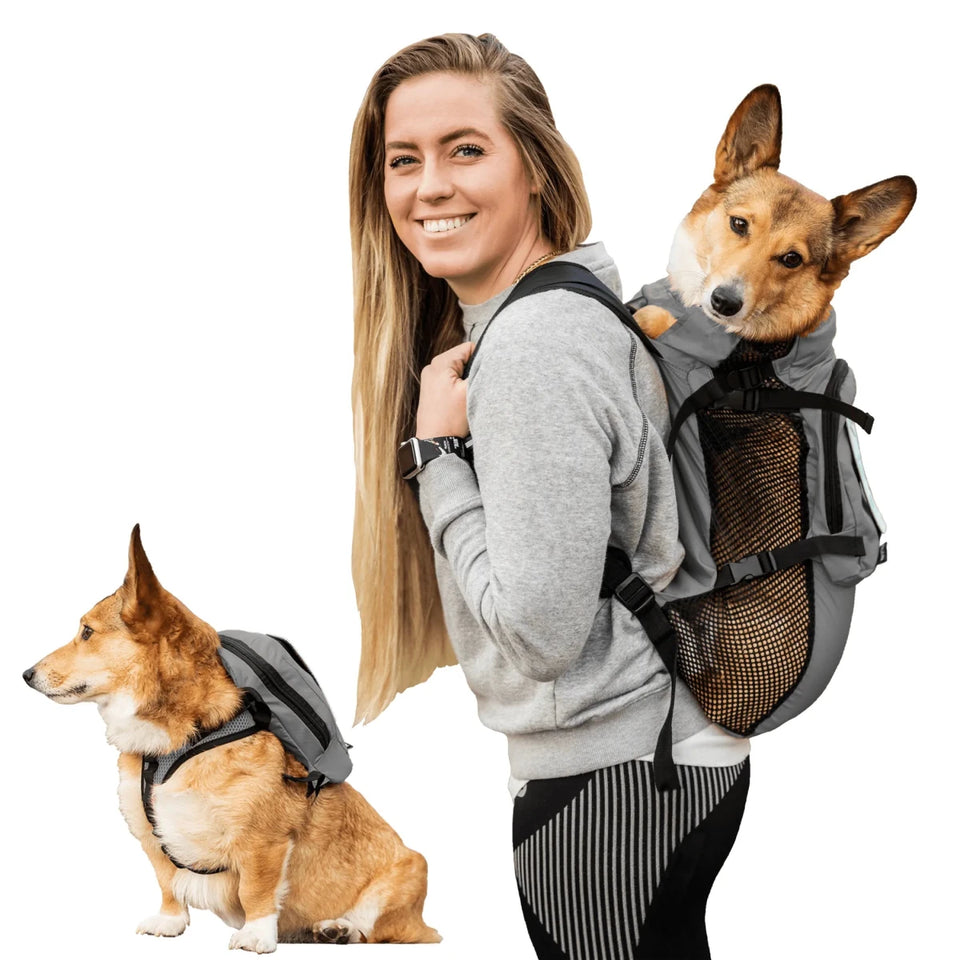 Walk-On with Dog Harness & Storage - Pets Perfect