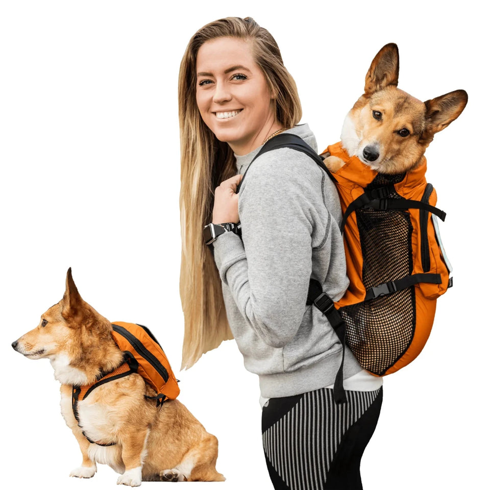 Walk-On with Dog Harness & Storage - Pets Perfect