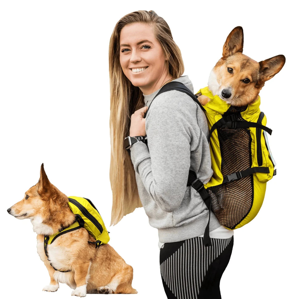 Walk-On with Dog Harness & Storage - Pets Perfect