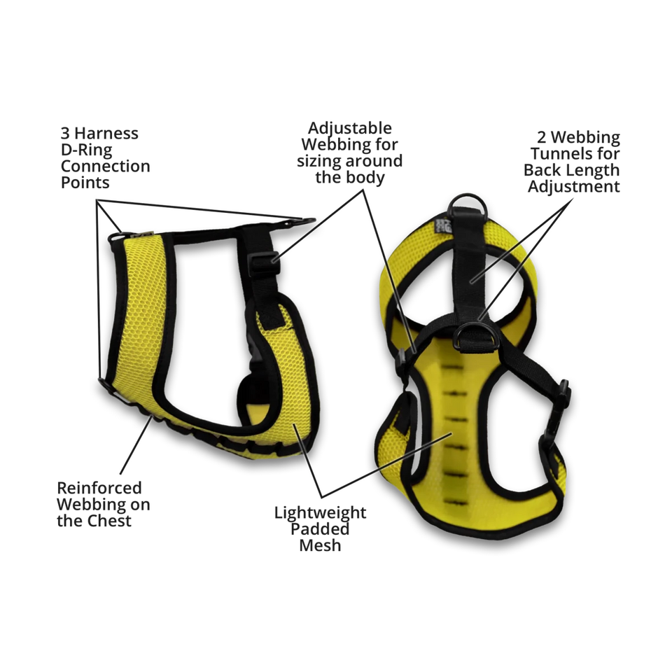 K9 Sport Dog Harness - Pets Perfect