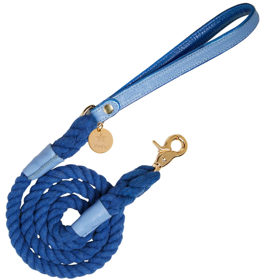 PoisePup Dog Leash - Premium Durable Pet Walking Lead - Pets Perfect