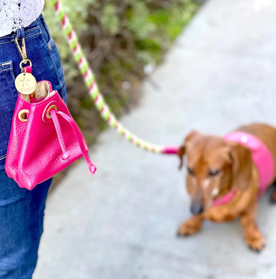 Dog Treat Bag - Pets Perfect