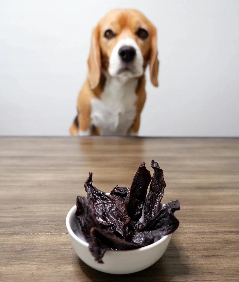 Pork Liver Chips - Pets Perfect