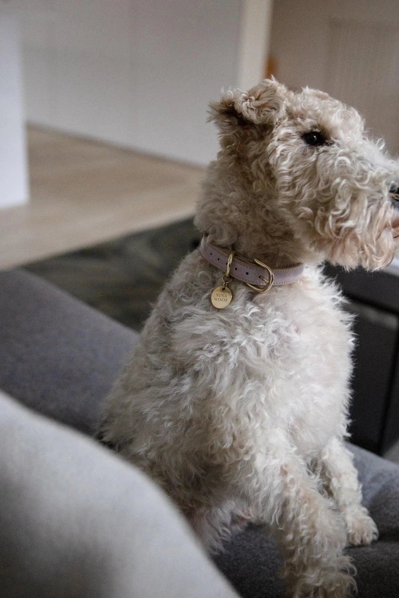 Milan Dog Collar - Pets Perfect