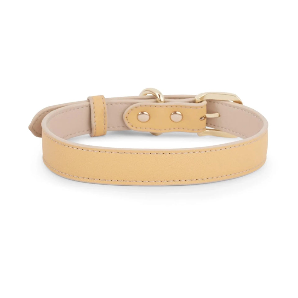 Copenhagen Dog Collar - Pets Perfect