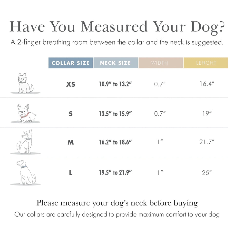 Copenhagen Dog Collar - Pets Perfect