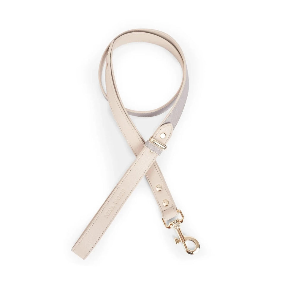 London Dog Leash - Pets Perfect