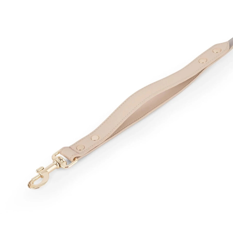 Milan Dog Leash - Pets Perfect