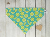 Over-The-Collar Dog Bandana - Handmade Slide-On Pet Bandana for Dogs (Multiple Sizes)