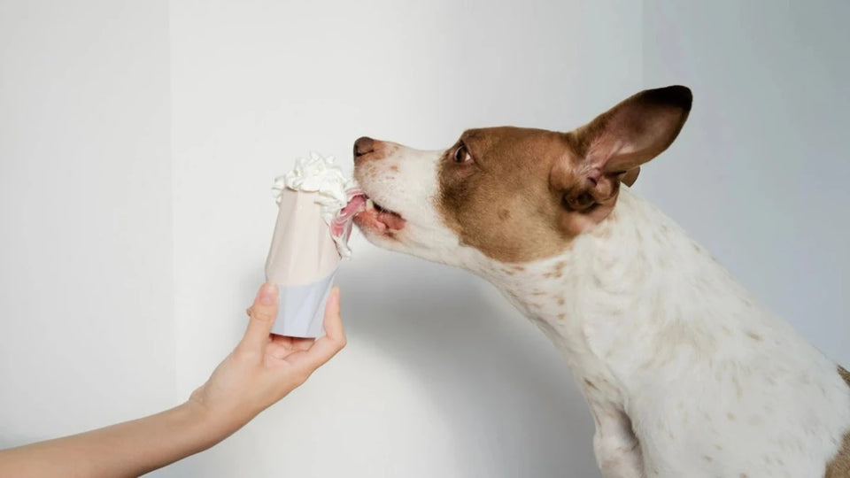 The Ubbe - Treat Filler Chew Dog Toy Made for Easy Cleaning - Pets Perfect
