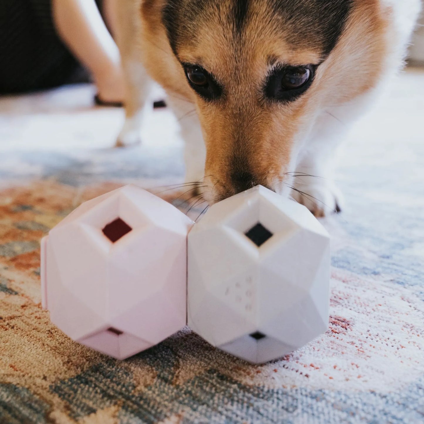 The Odin - Modern Treat Dispensing Dog Puzzle - Pets Perfect