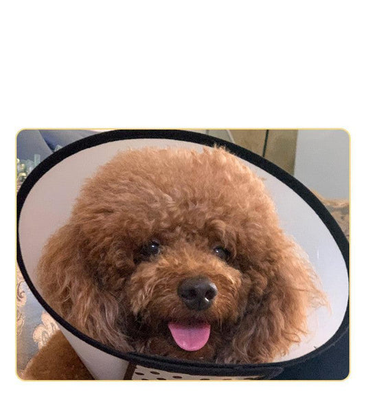 Universal Anti-Licking Recovery Collar - Protective E-Collar for Post-Surgery Care
