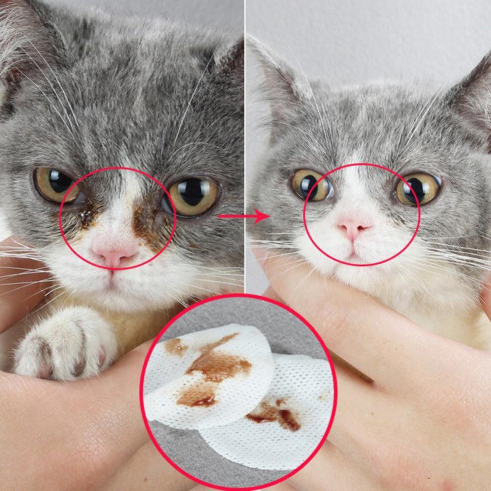 Radiantpaws Tear Stain Eliminator Pet Eye Grooming Wipes for Dogs and Cats - Pets Perfect