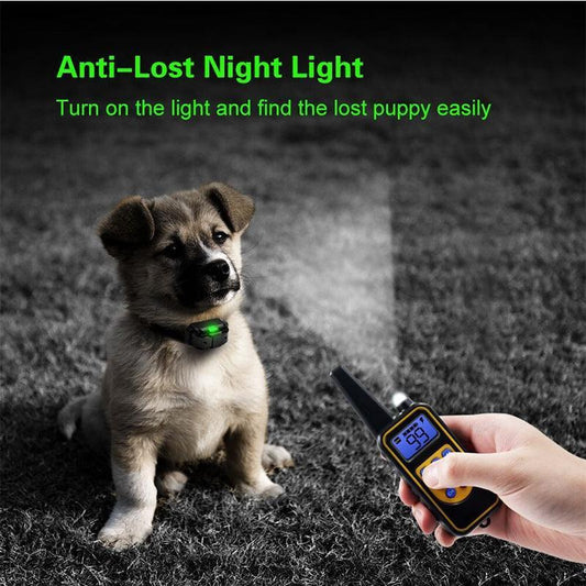 Ultimate Remote Control Dog Training Device