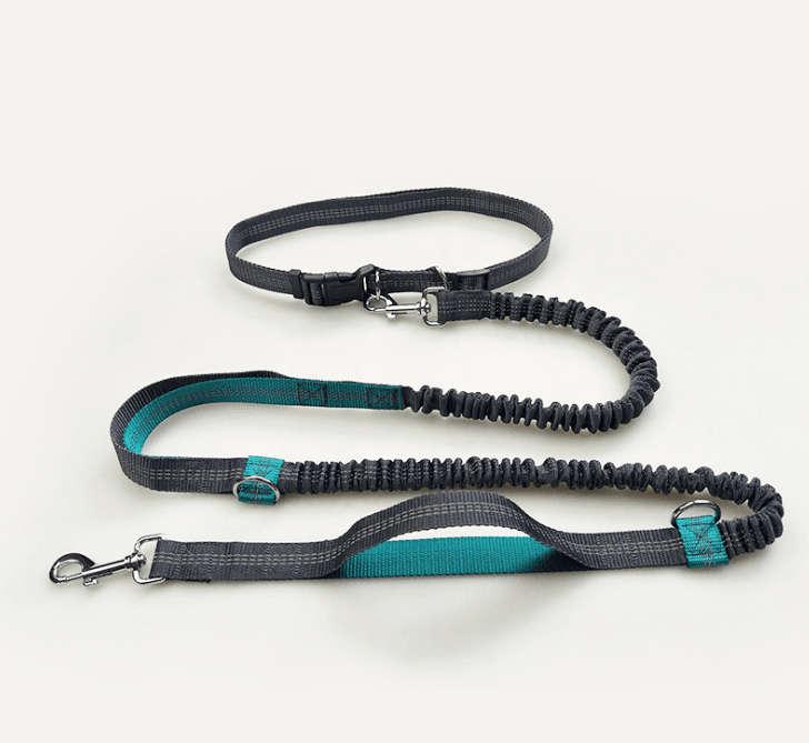 Ultimate Hands - Free Reflective Dog Leash With Multi - Function Features - Pets Perfect