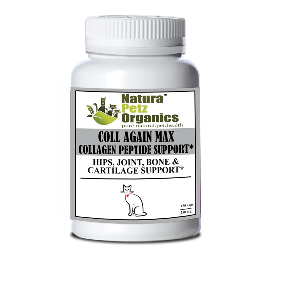 The Petz Kitchen Coll Again Max Collagen Peptide Support Capsules, Hip, view 5