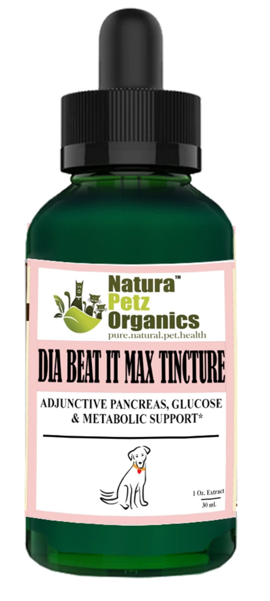 Max Tincture Extract*, Adjunctive Pancreas, DOG - 10:1 1 OZ. TINCTURE/1