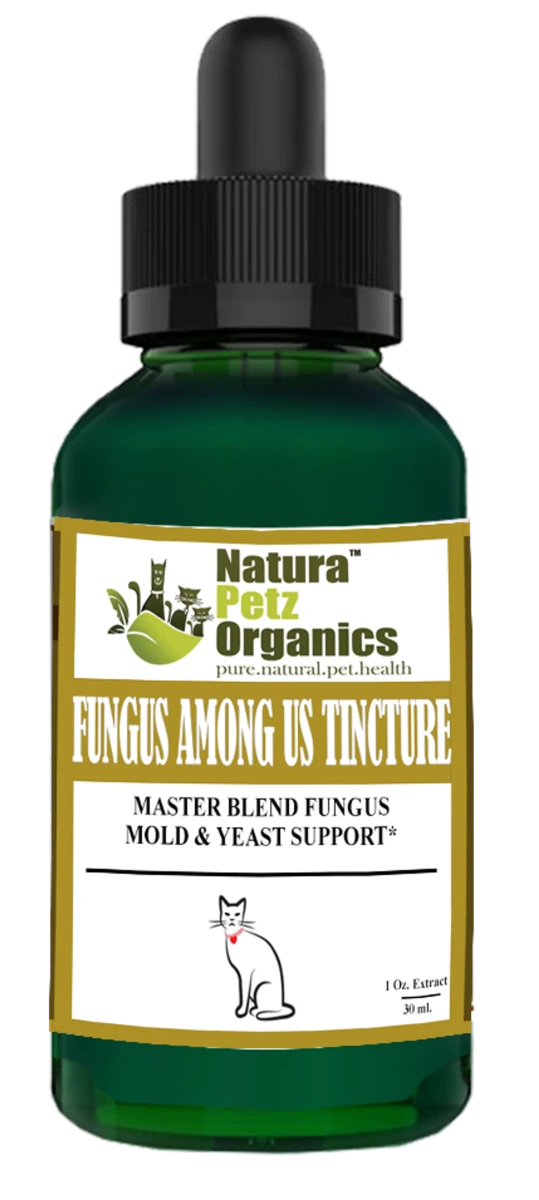 Fungus Among Us Tincture*, Master Blend Fungus, view 3