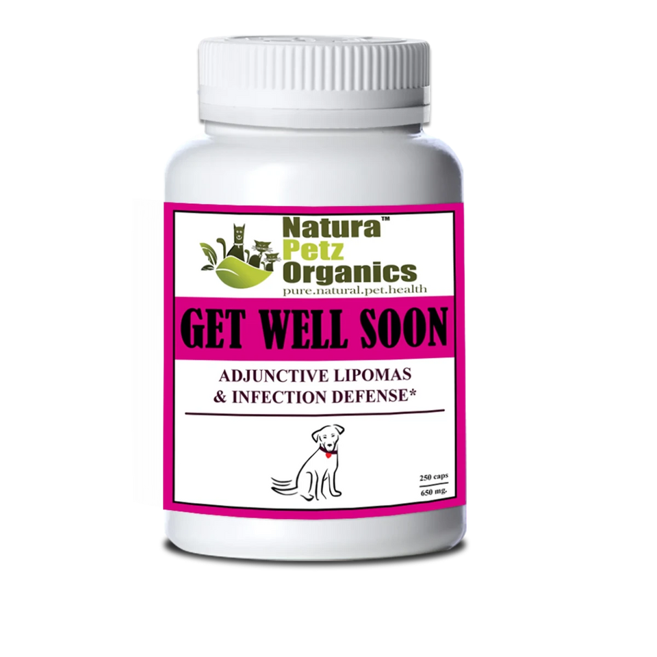 Get Well Soon - Adjunctive Lipoma + Infection Defense*, CAT/ 90 CAPS / 325 MG/1, view 5