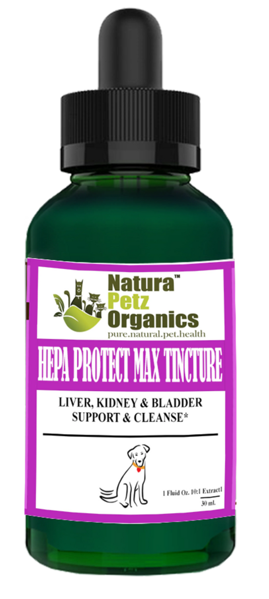 Hepa Protect Max Tincture* Master Blend Liver Kidney & Bladder Support & Cleanse 10:1 Extract* - Pets Perfect