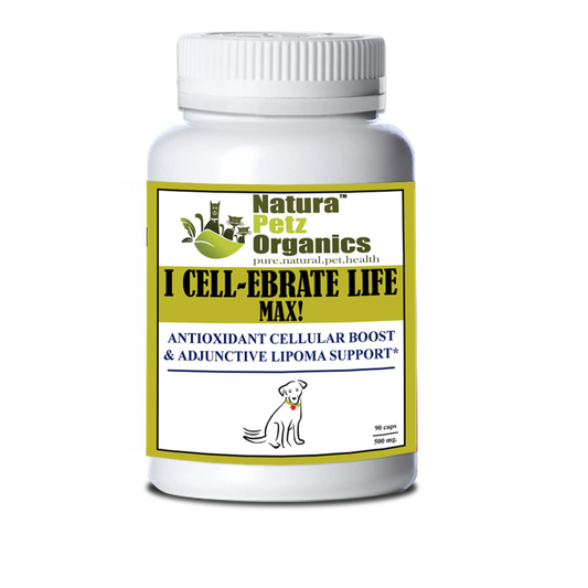 I Cellebrate Life Max - Antioxidant Cellular Boost + Adjunctive Lipoma Support* - Pets Perfect