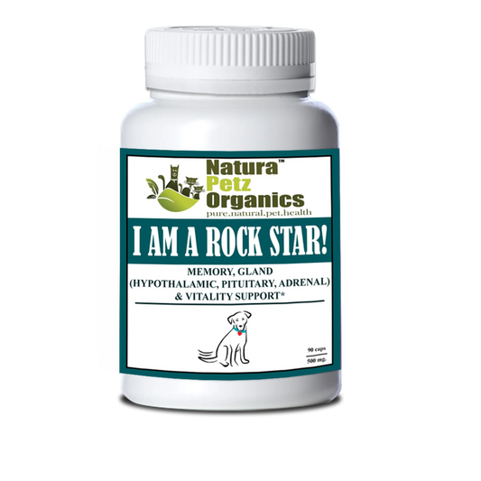 I Am A Rock Star - Memory, Gland (Hypothalamic, Pituitary And Adrenal) & Vitality Support* - Pets Perfect