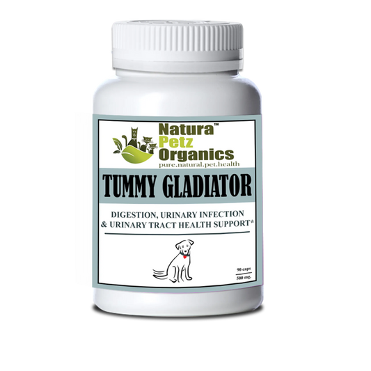 Tummy Gladiator - Digestion, Adjunctive Reflux & Urinary Tract Support* - Pets Perfect