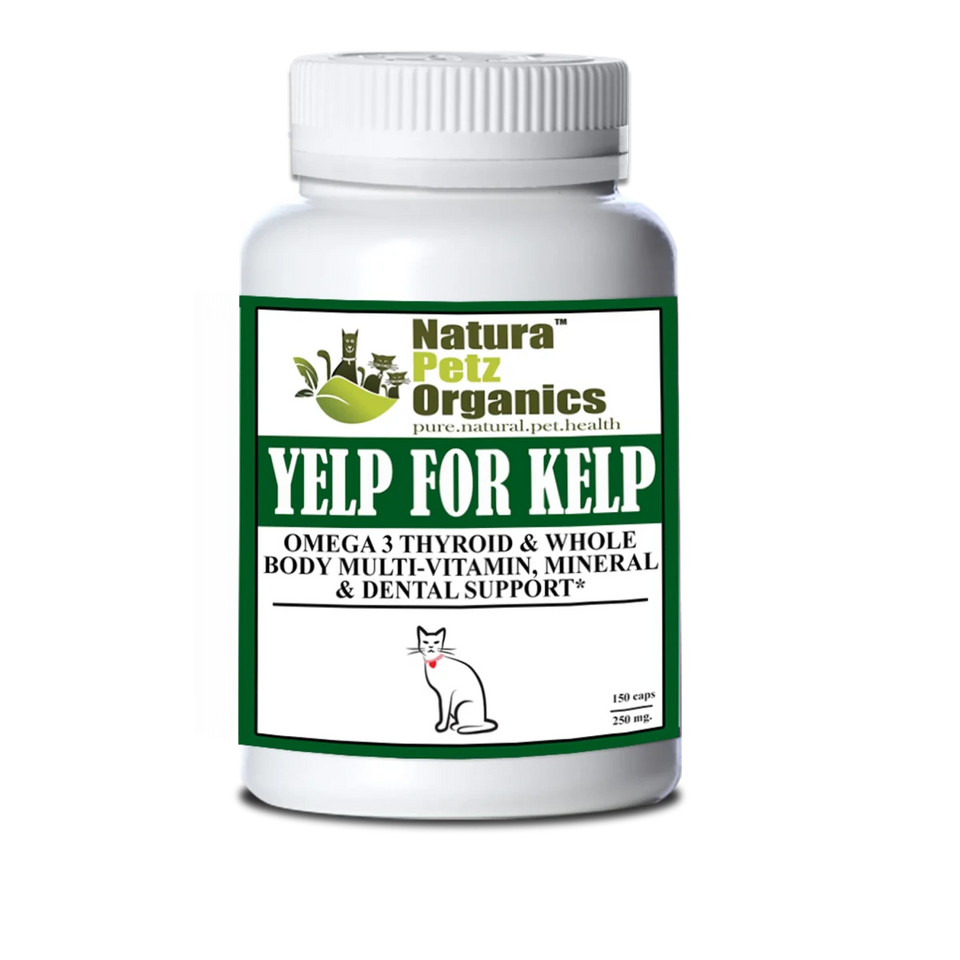 Yelp For Kelp, Omega 3 & 6 Thyroid & Whole Body Multi-Mineral, view 6