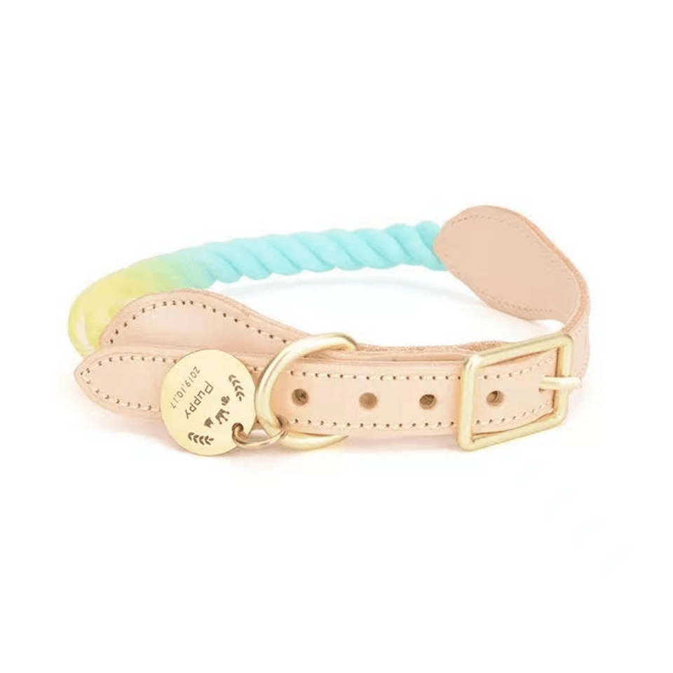 Luxe Royal Leather Dog Collar with Durable Brass O-Ring, Salmon, view 45
