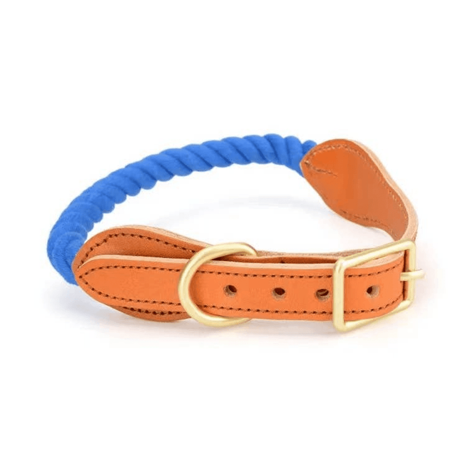 Luxe Royal Leather Dog Collar with Durable Brass O-Ring, Flamingo Pink, view 27