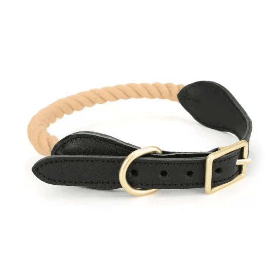 Luxe Royal Leather Dog Collar with Durable Brass O-Ring, Dark Turquoise/M, view 17
