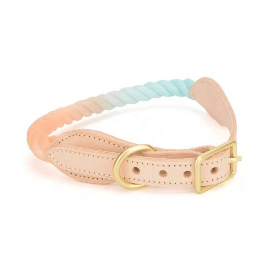 Luxe Royal Leather Dog Collar with Durable Brass O-Ring, Forest Love/M, view 62