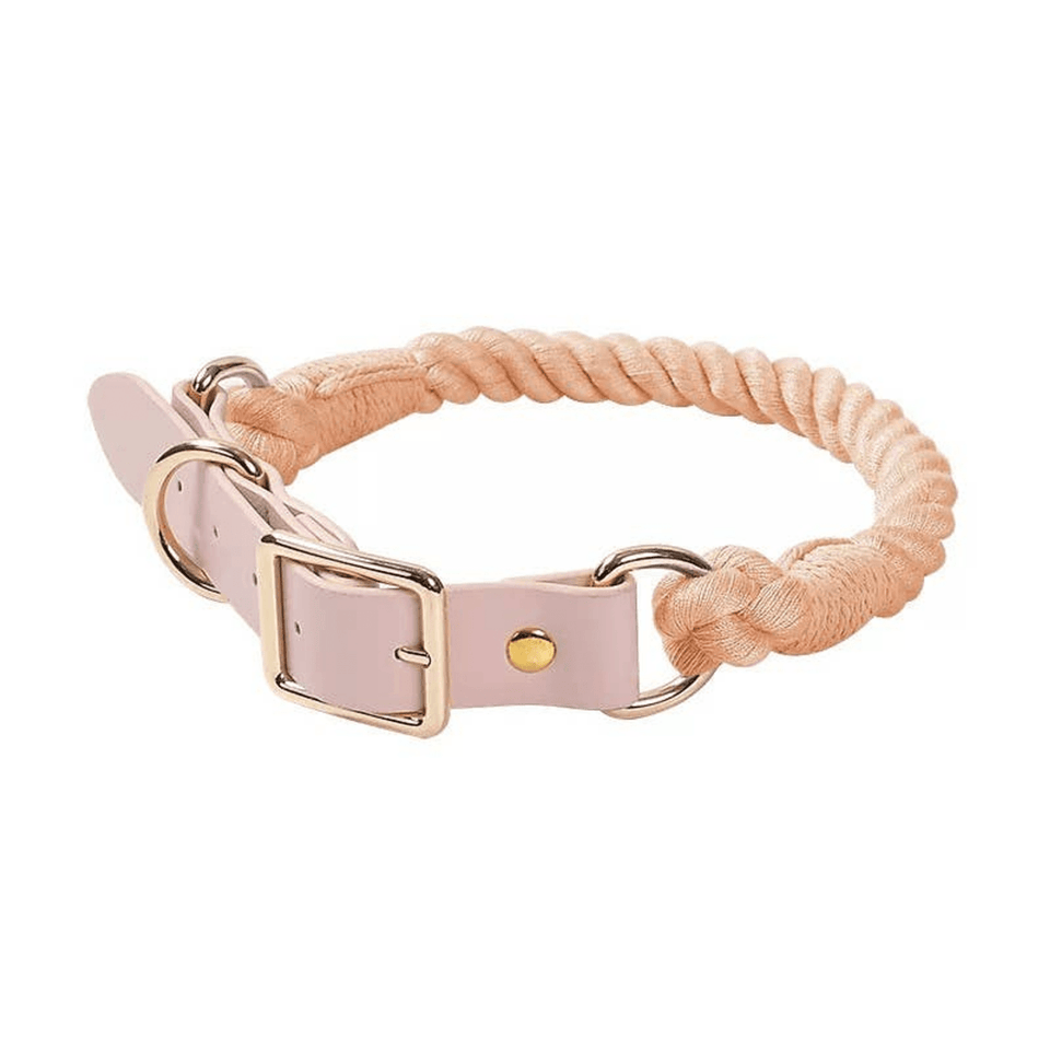 Luxe Royal Leather Dog Collar with Durable Brass O-Ring, Salmon/M, view 44