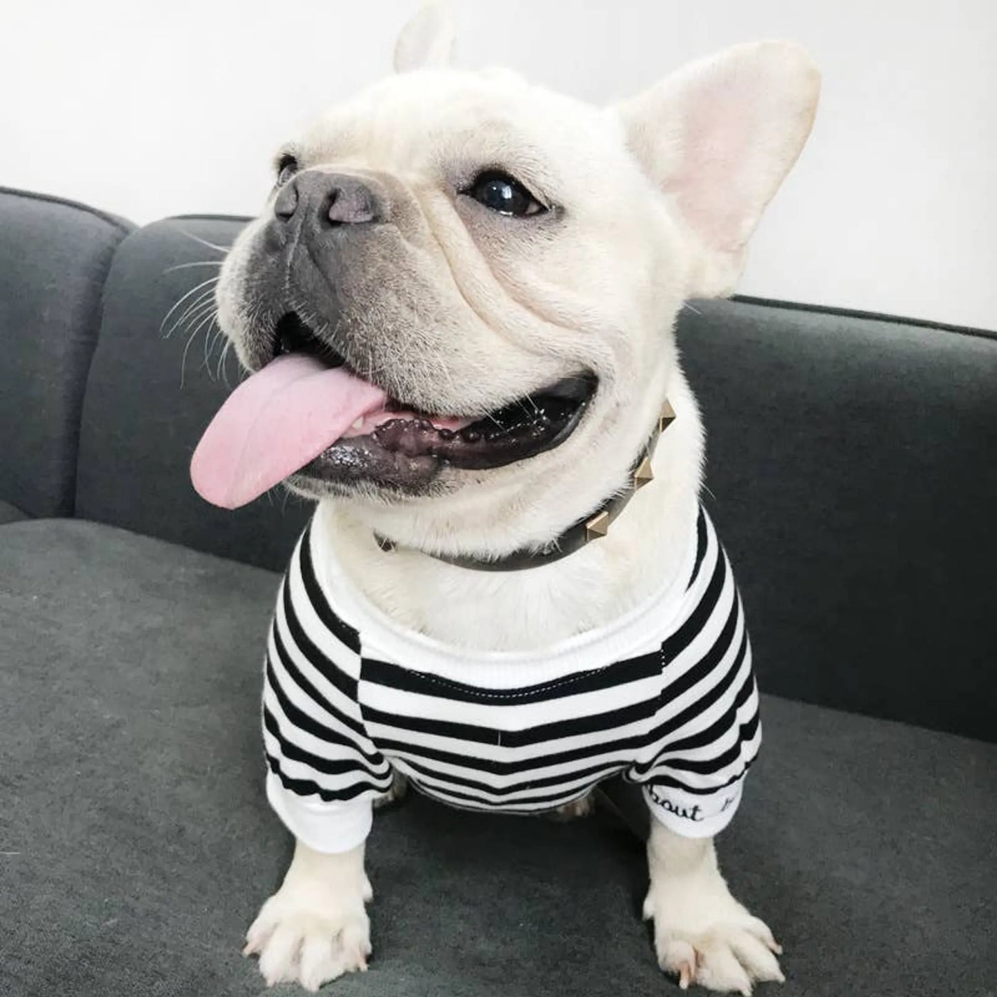 Stripe Style Matching Pet and Owner Cardigan Sweater Set