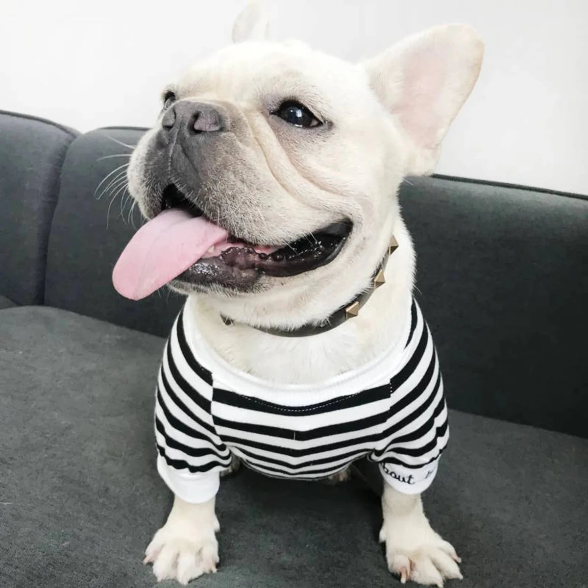 Stripe Style Matching Pet and Owner Cardigan Sweater Set - Pets Perfect