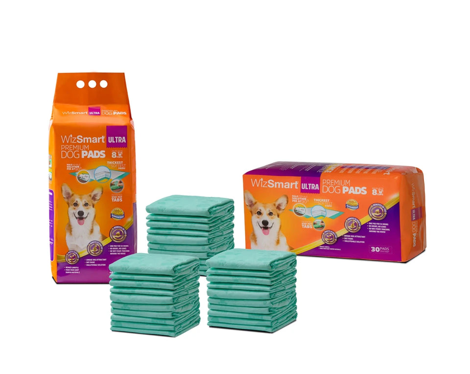 WizSmart All Day Dry Dog Pads Ultra 30 ct 4 ct - Pets Perfect