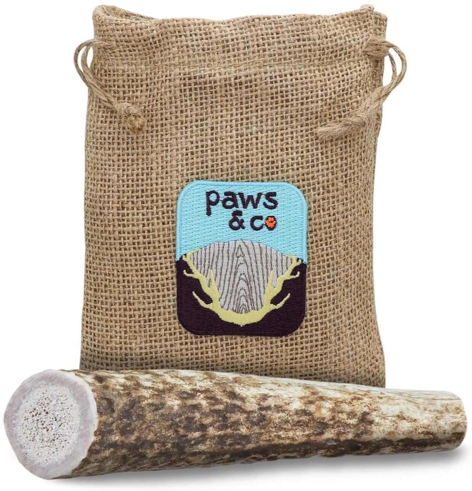 Whole Antler Dog Chew, view 10