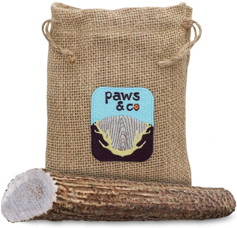 Whole Antler Dog Chew, view 8
