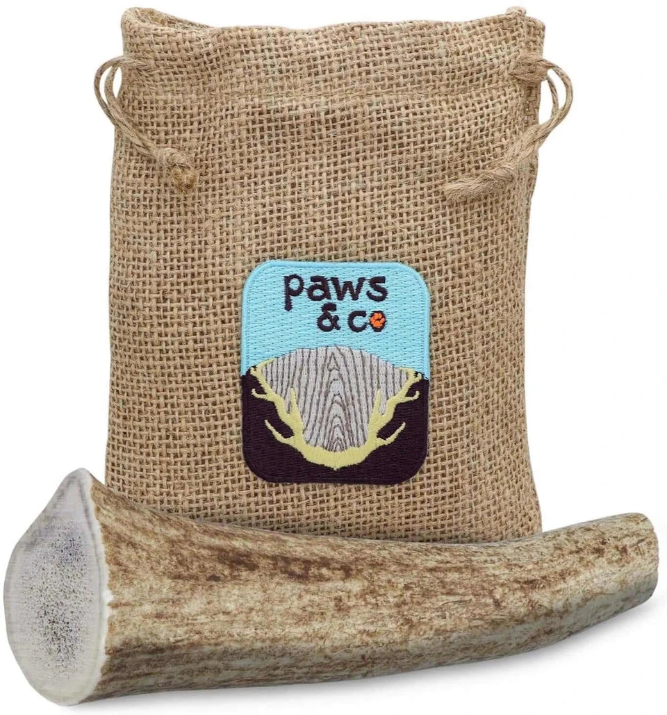 Whole Antler Dog Chew, view 9