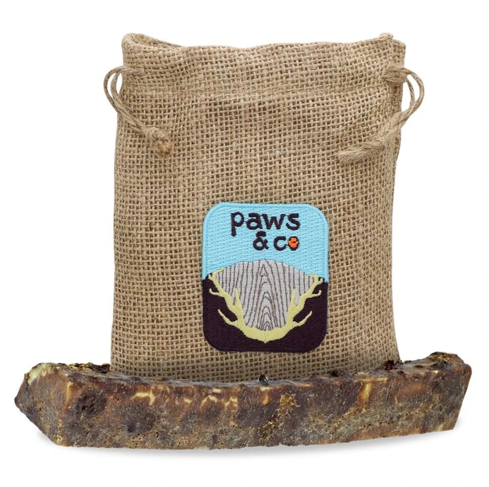Dipped Split Antler Dog Chew, view 4