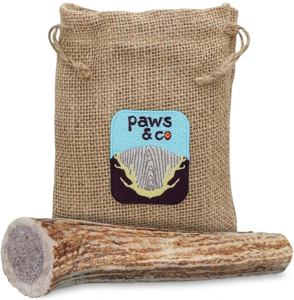 Whole Antler Dog Chew, view 6